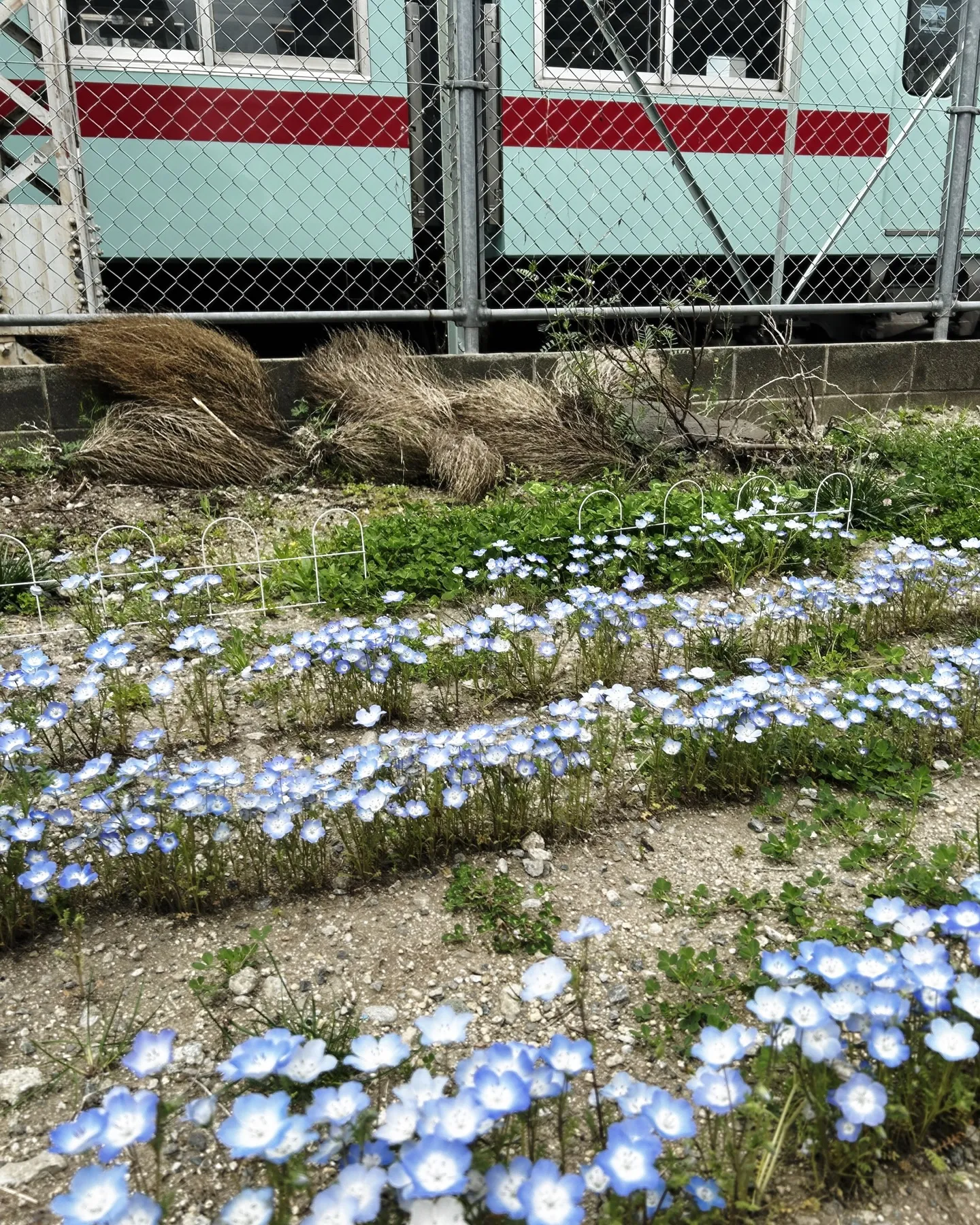 KACセラピストフォローコース