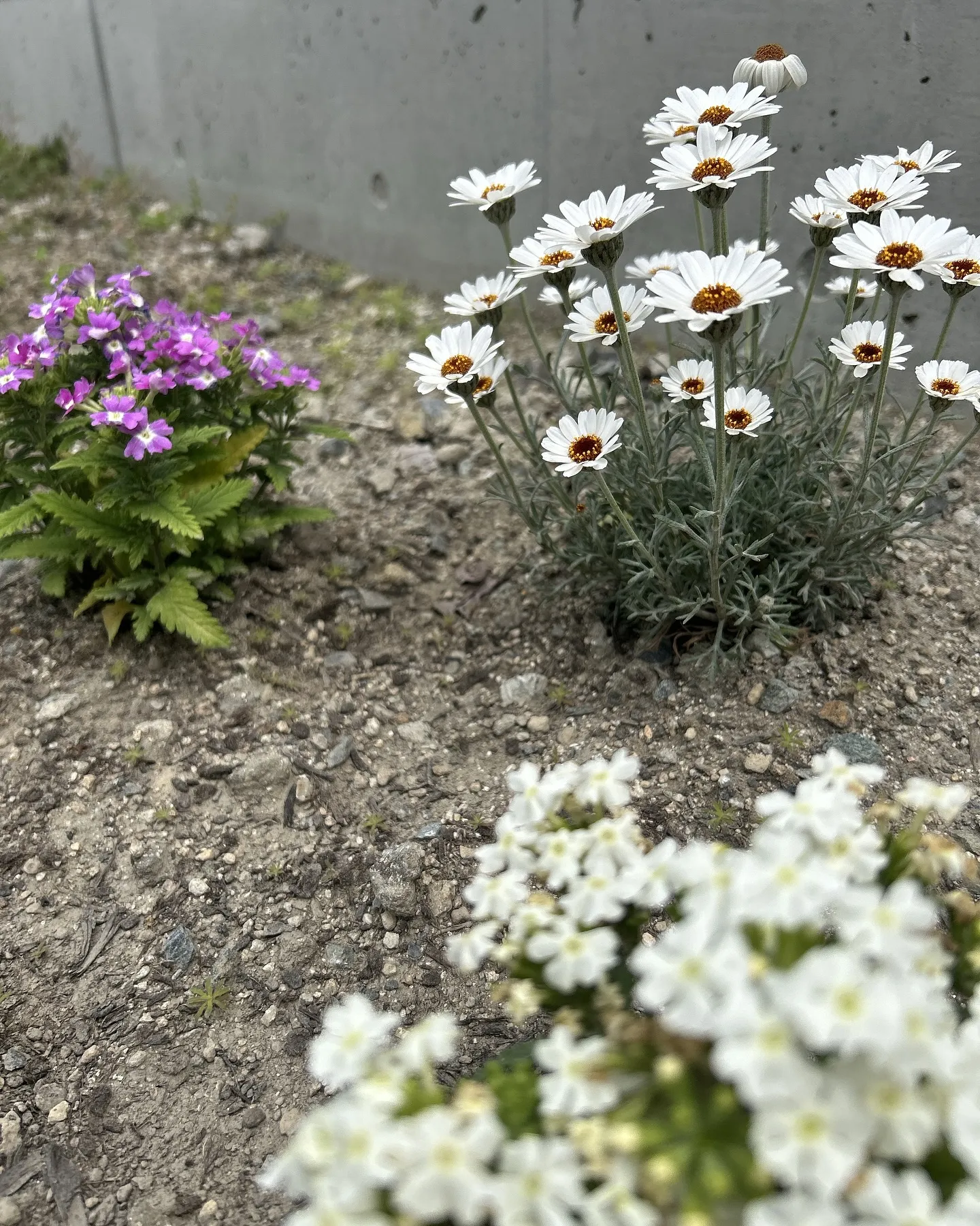 KACセラピストフォローコース