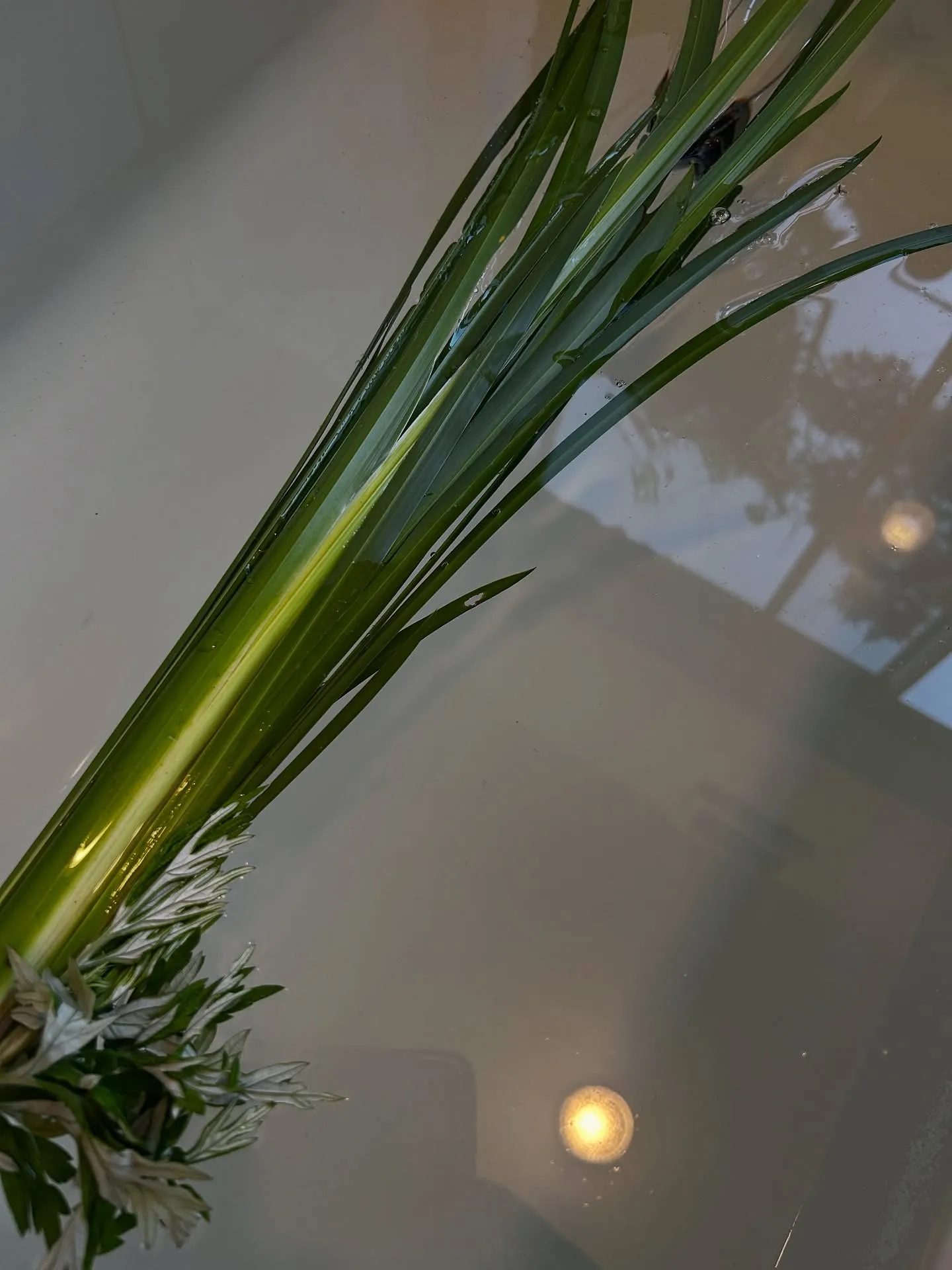 自然派セルフメディケーション