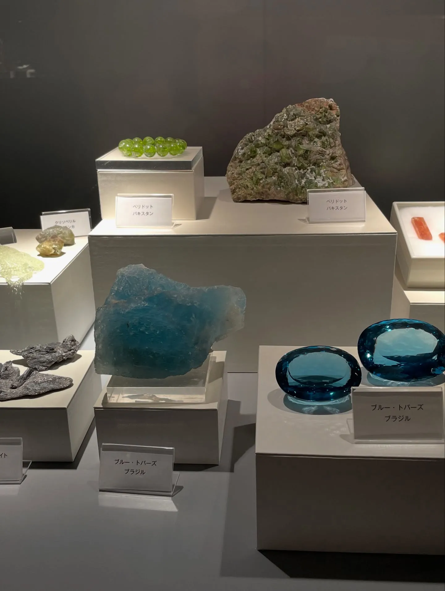 NARD JAPAN山梨研修