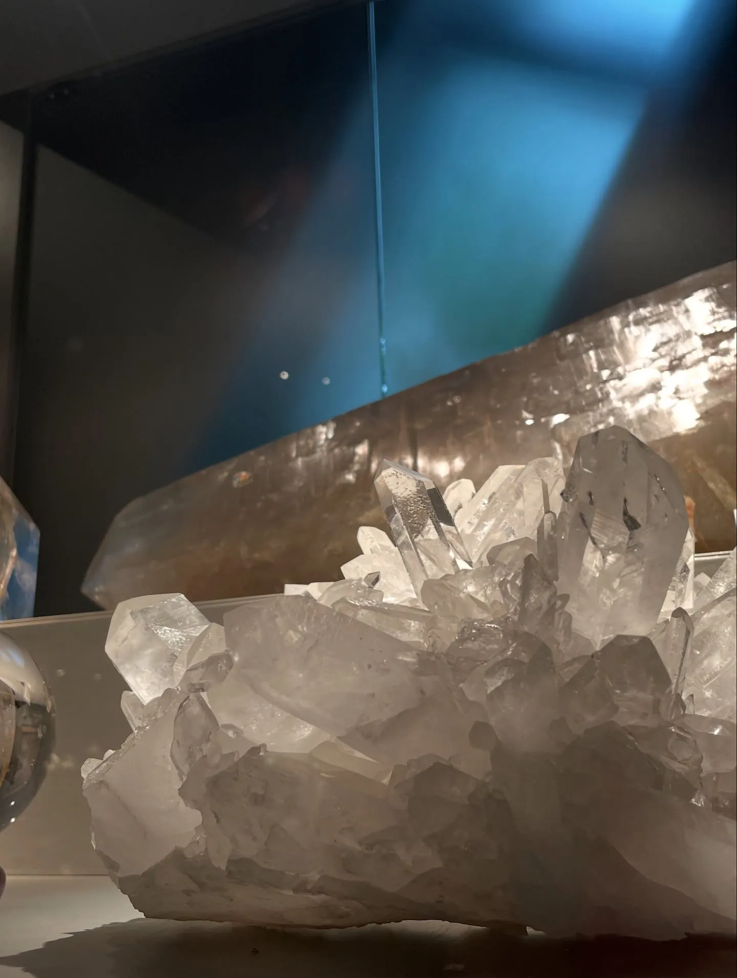 NARD JAPAN山梨研修