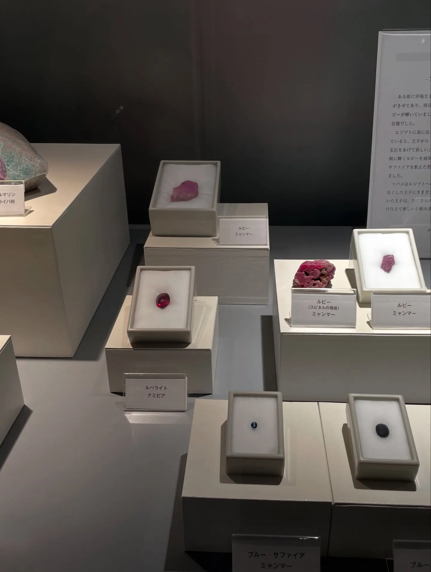 NARD JAPAN山梨研修