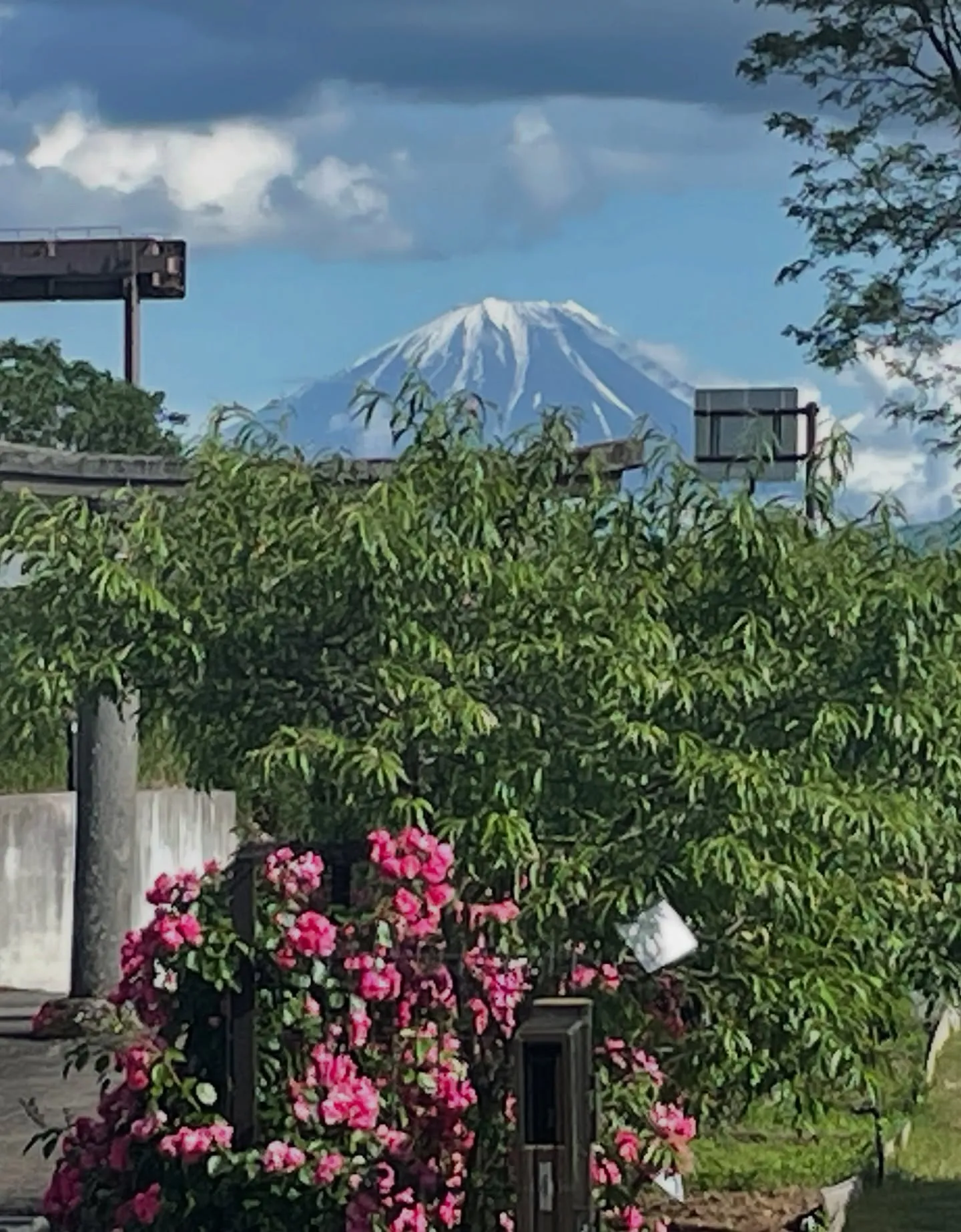 山梨ナード農場研修