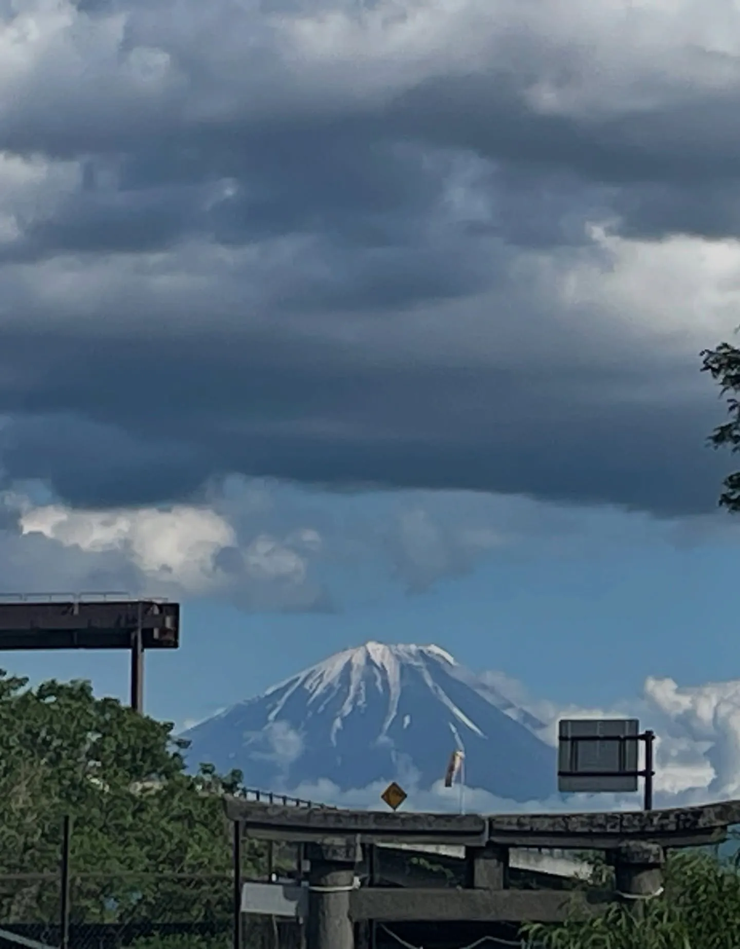 山梨ナード農場研修