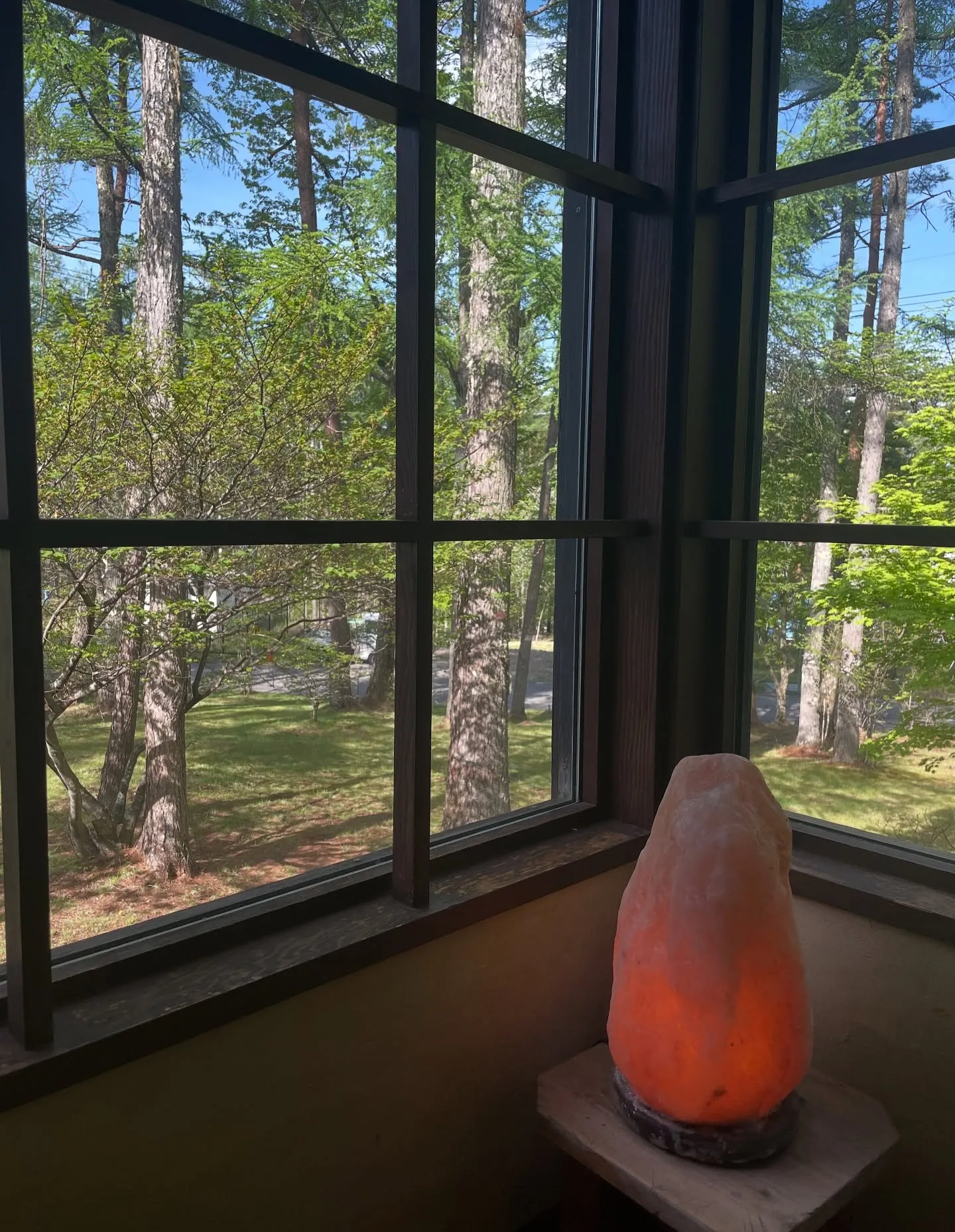 山梨ナード農場研修