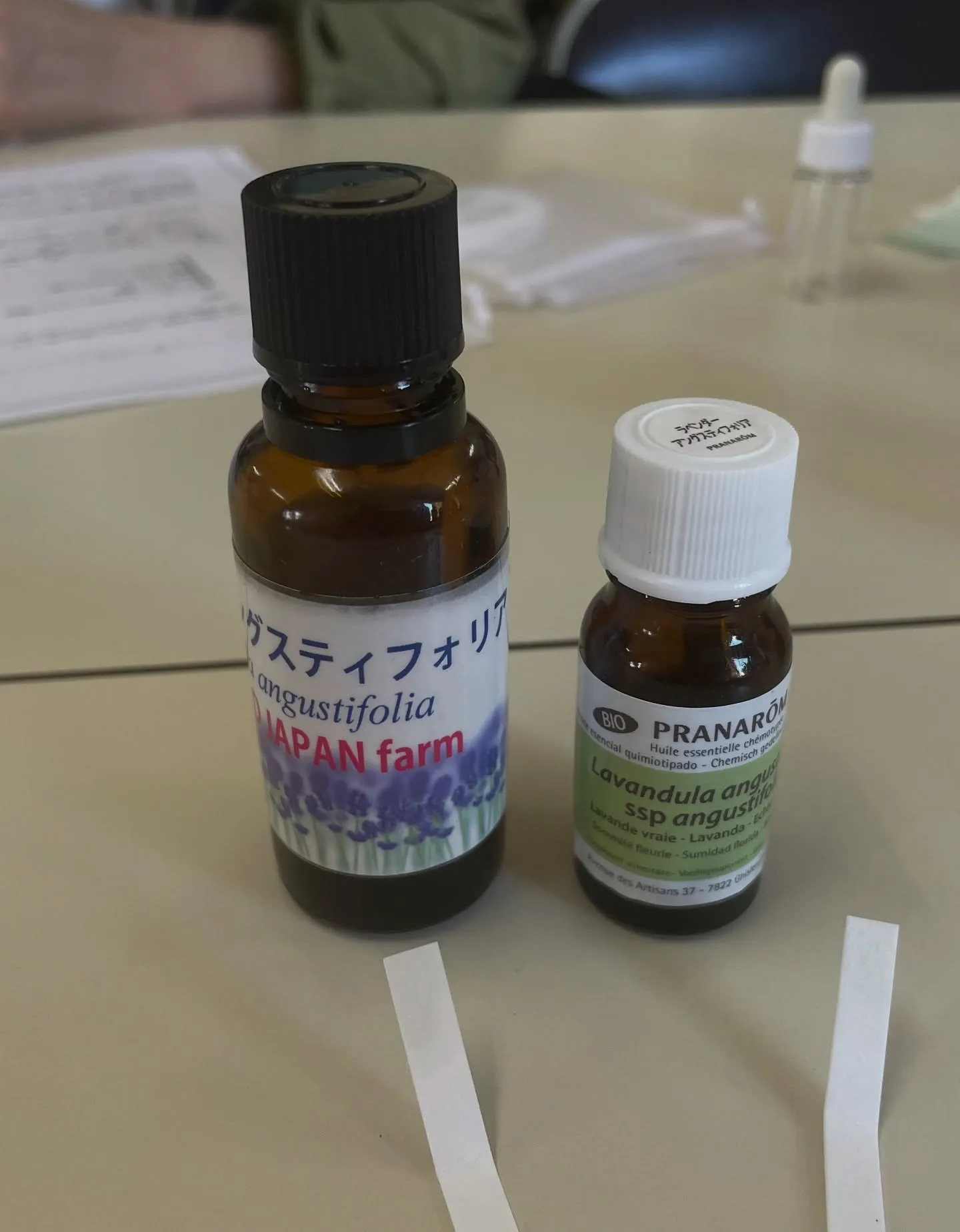 山梨ナード農場研修