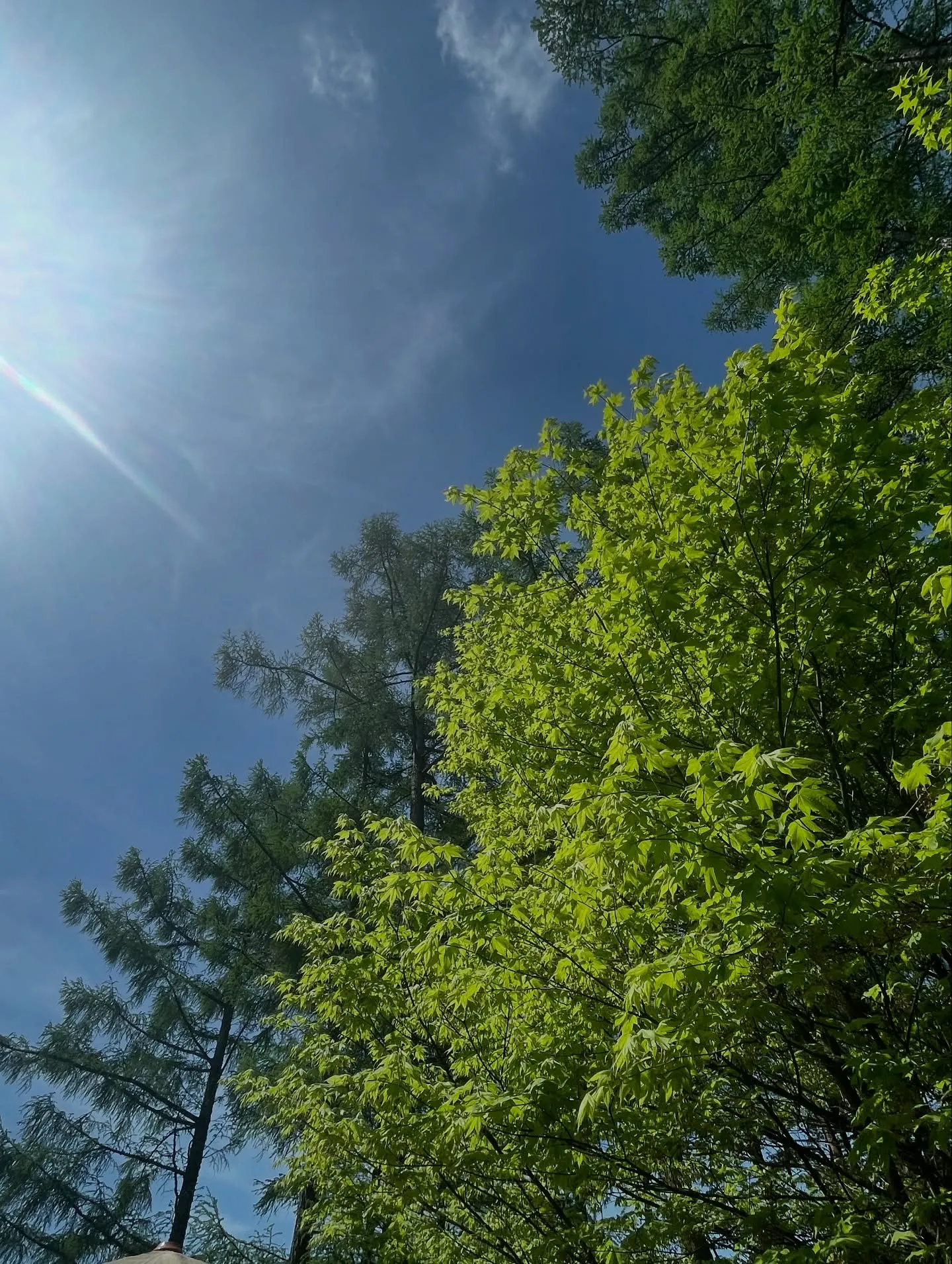山梨→長野蓼科へ