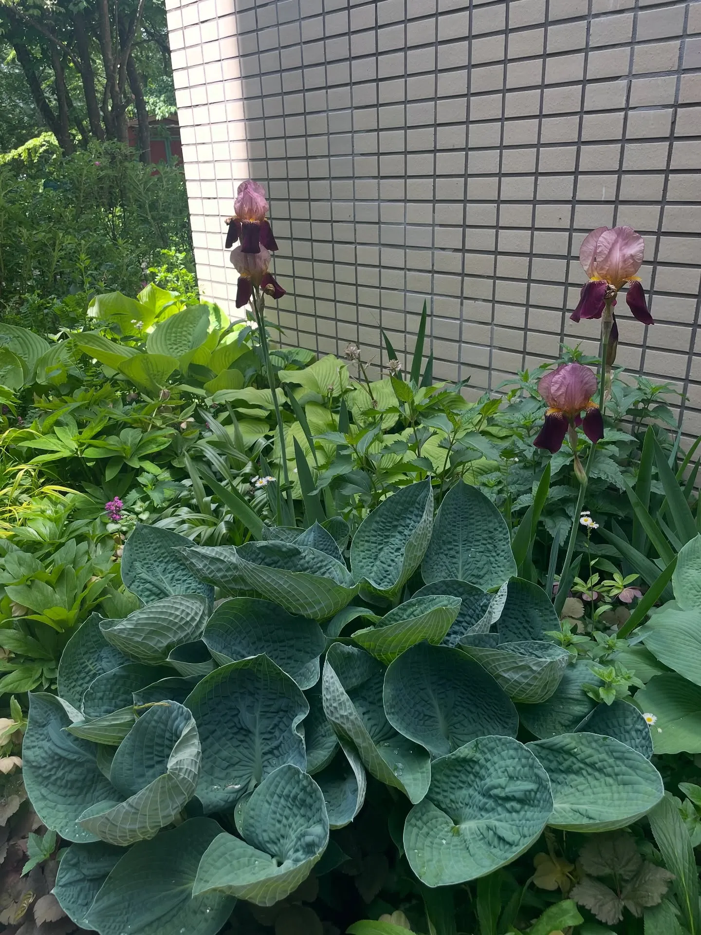 山梨→長野蓼科へ