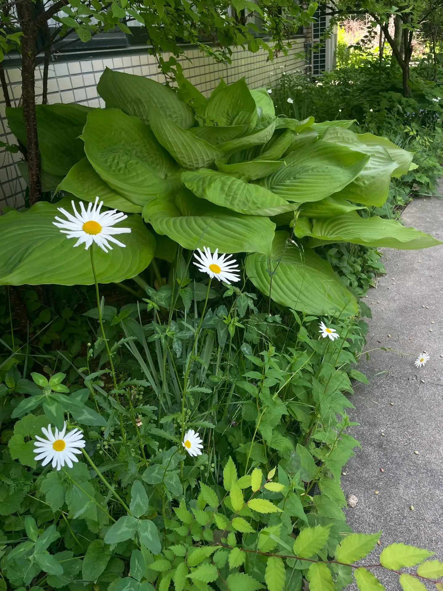 山梨→長野蓼科へ