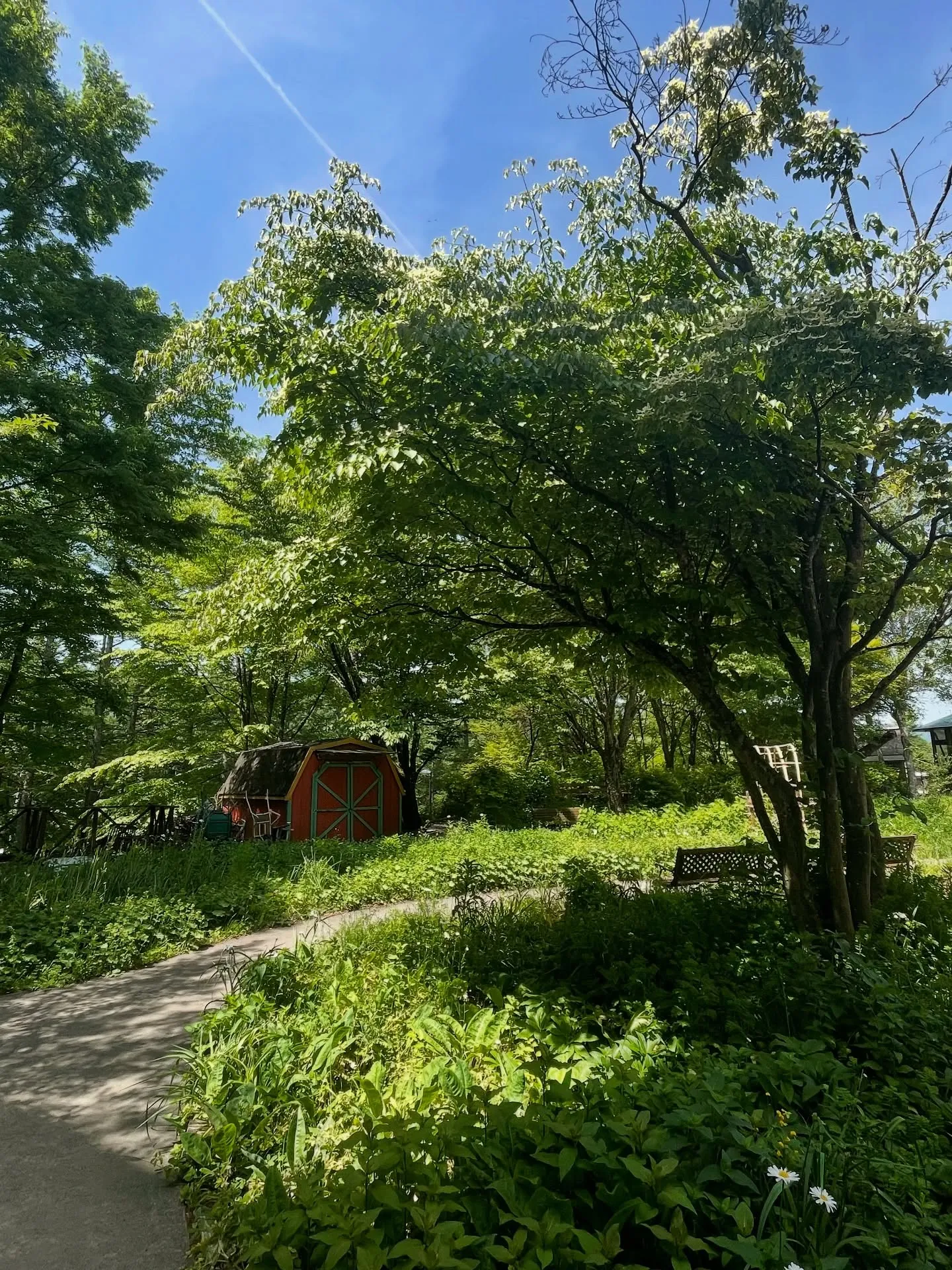 山梨→長野蓼科へ