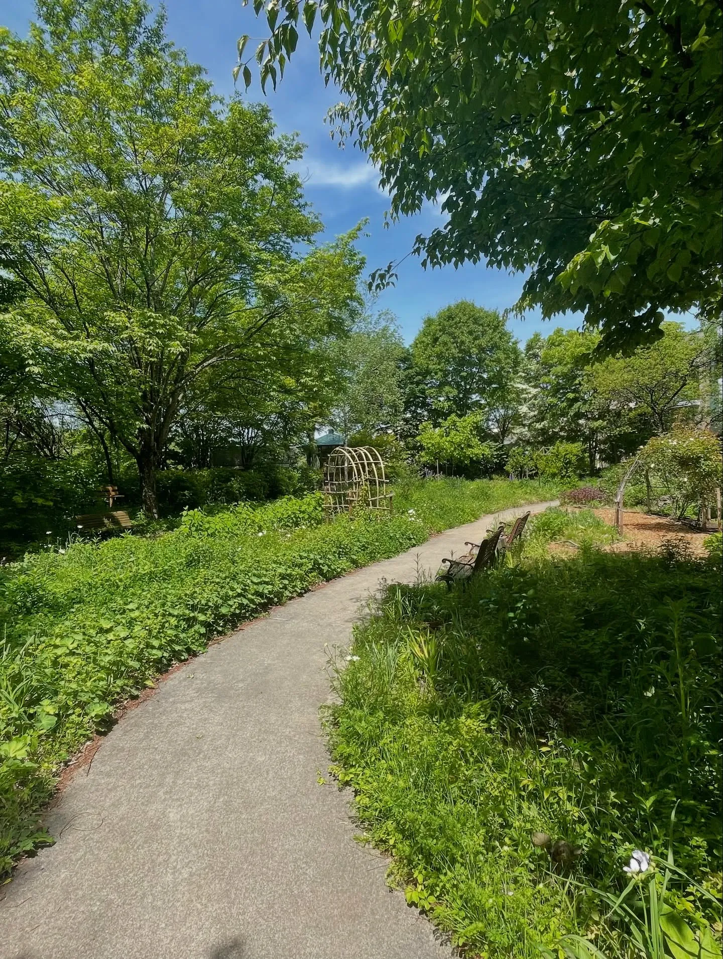 山梨→長野蓼科へ