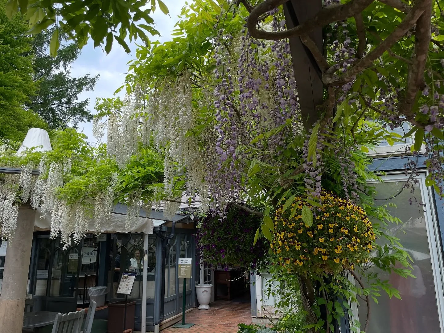 2023.山梨ナードジャパン研修