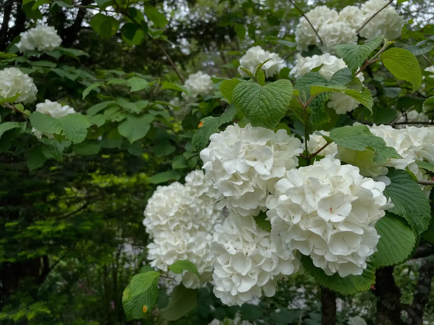 2023.山梨ナードジャパン研修