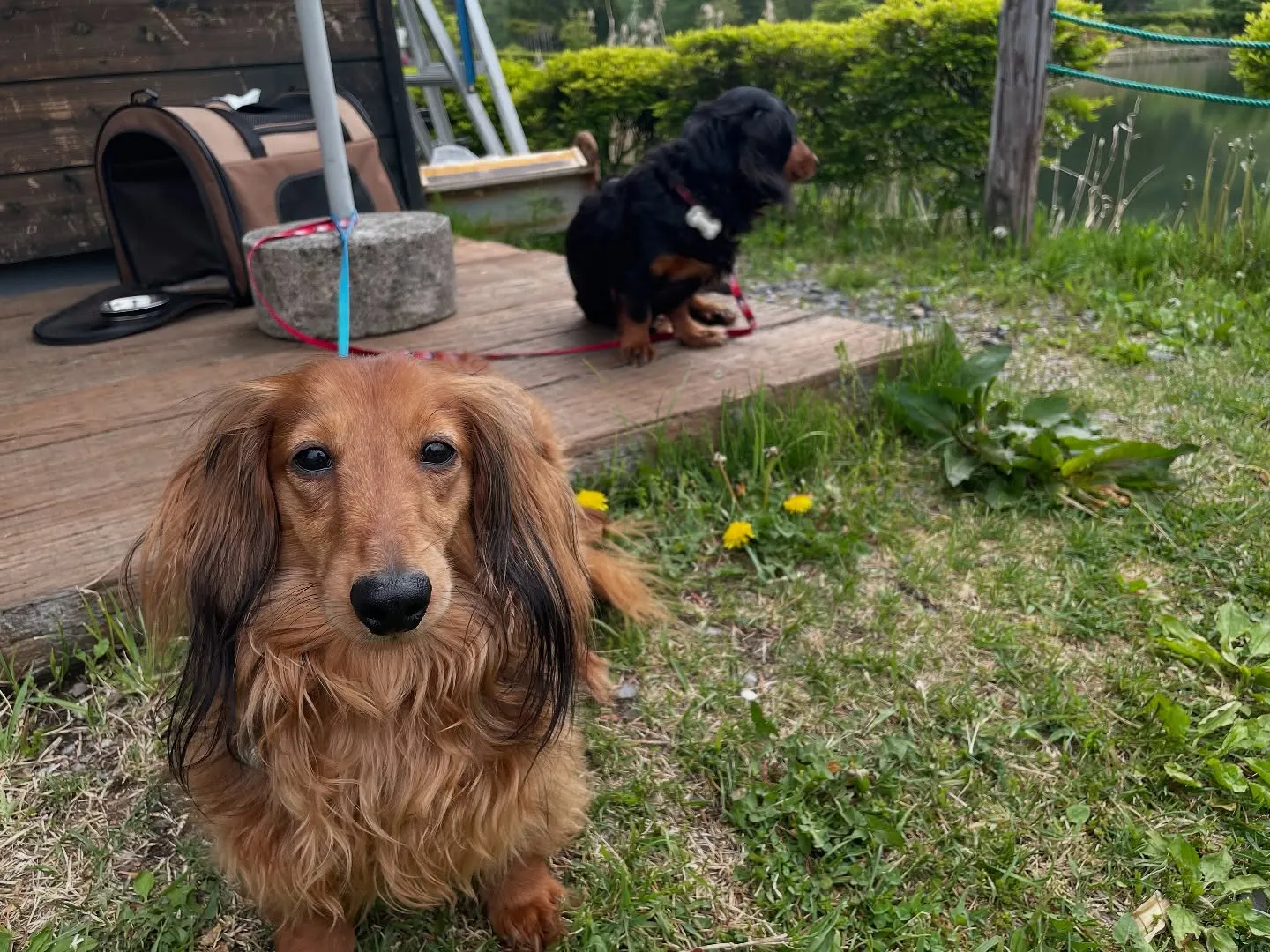 2023.山梨ナードジャパン研修