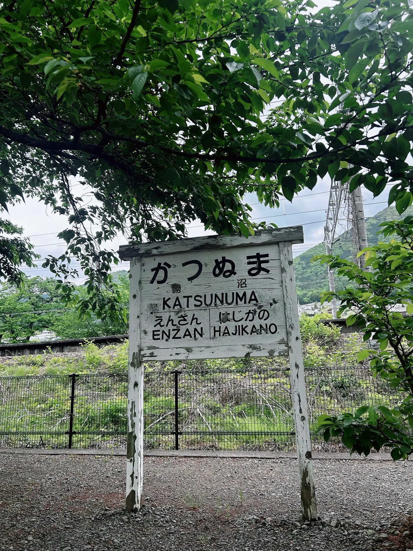 ワイン🍷とアロマテラピー