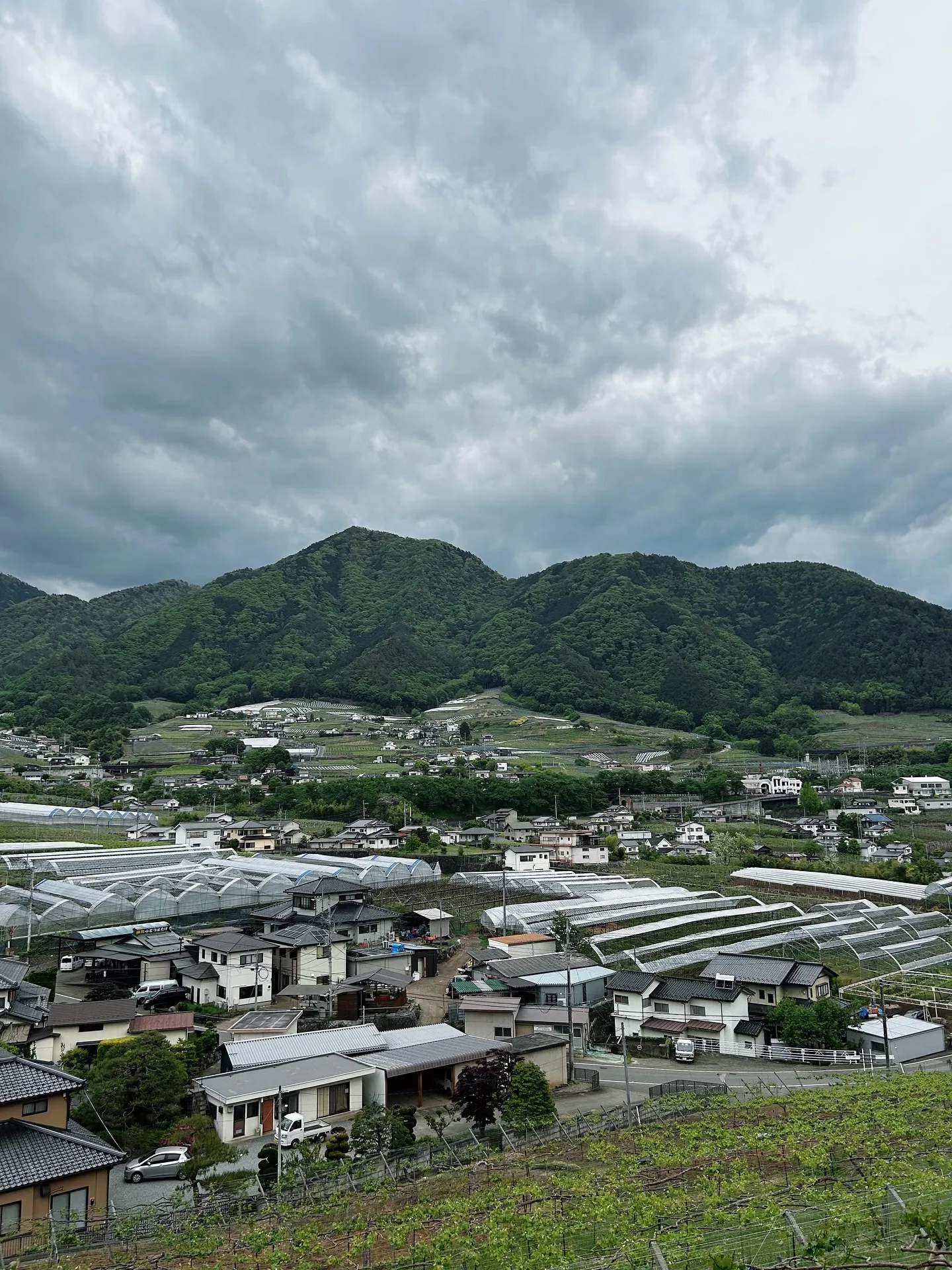 ワイン🍷とアロマテラピー