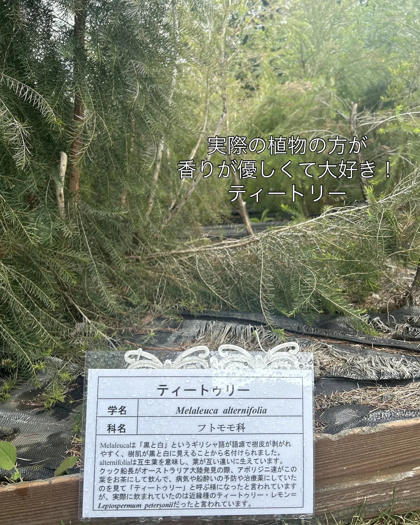 2025.NARD JAPAN農場研修