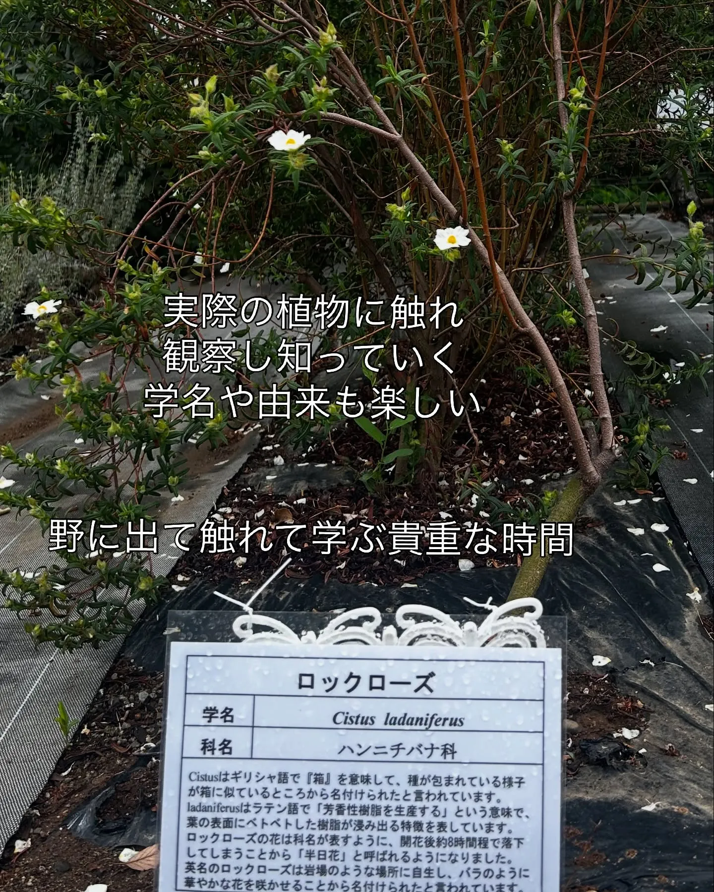 2025.NARD JAPAN農場研修