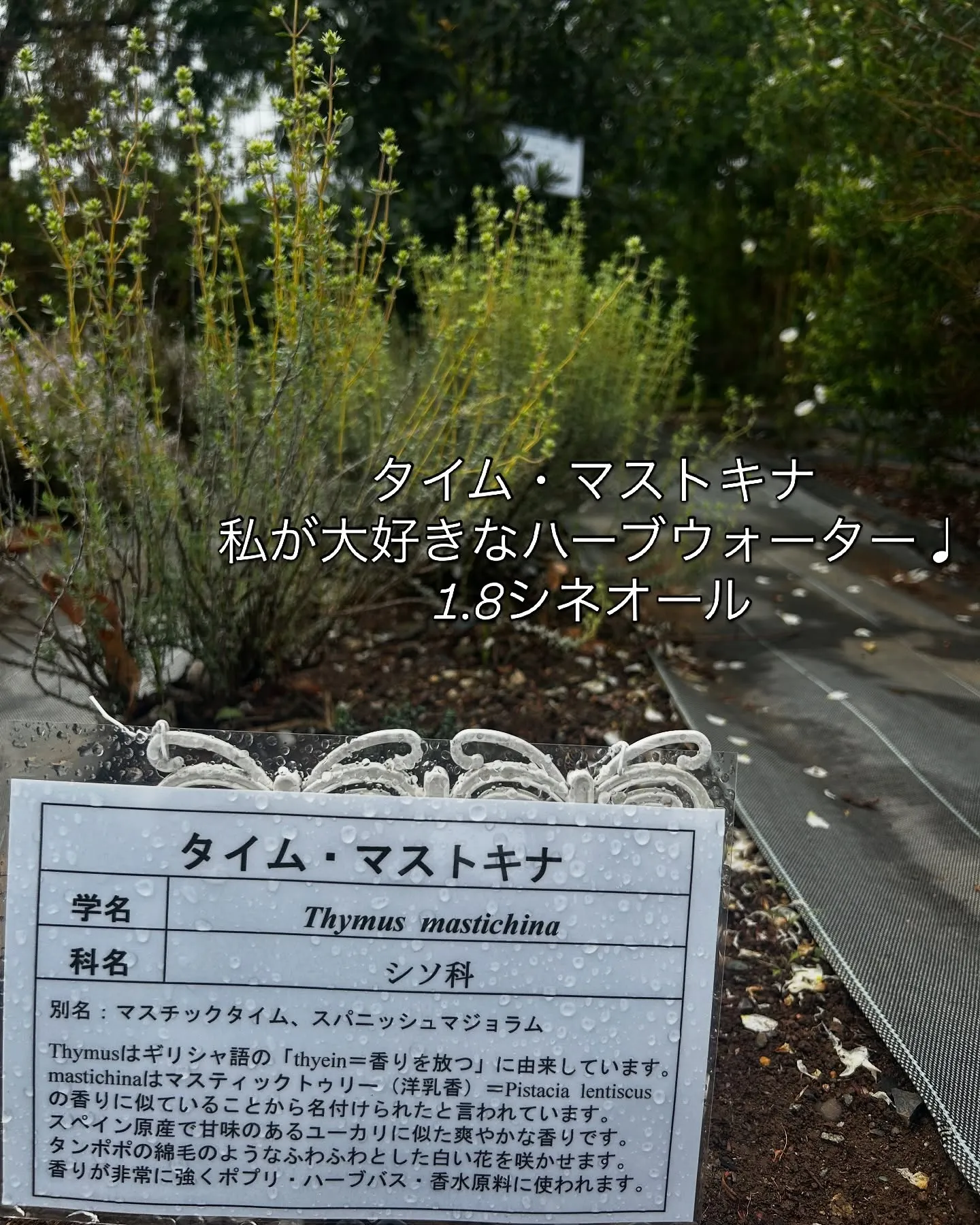 2025.NARD JAPAN農場研修