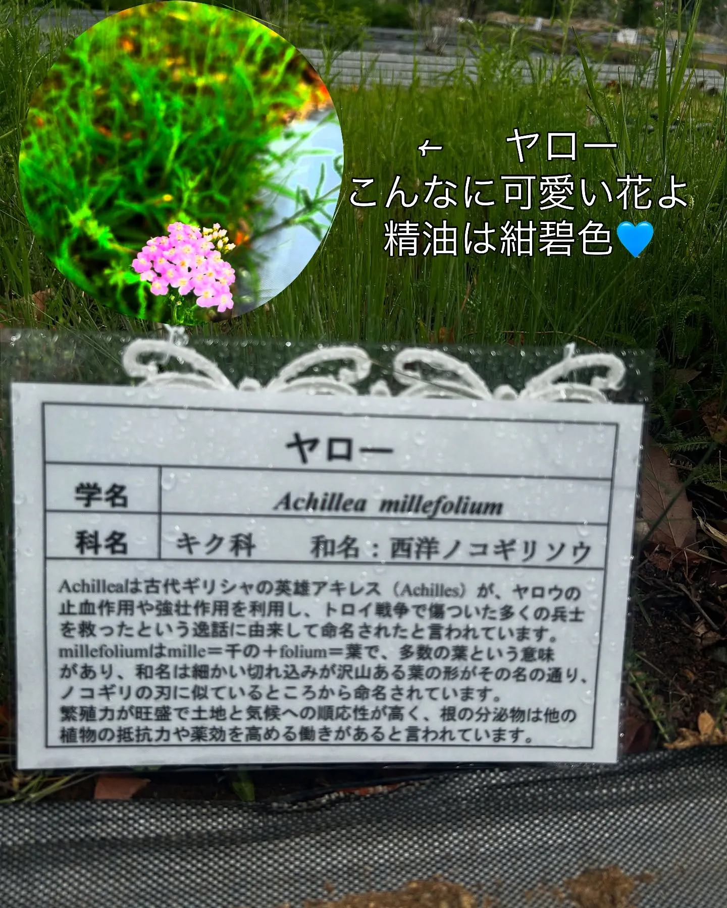 2025.NARD JAPAN農場研修