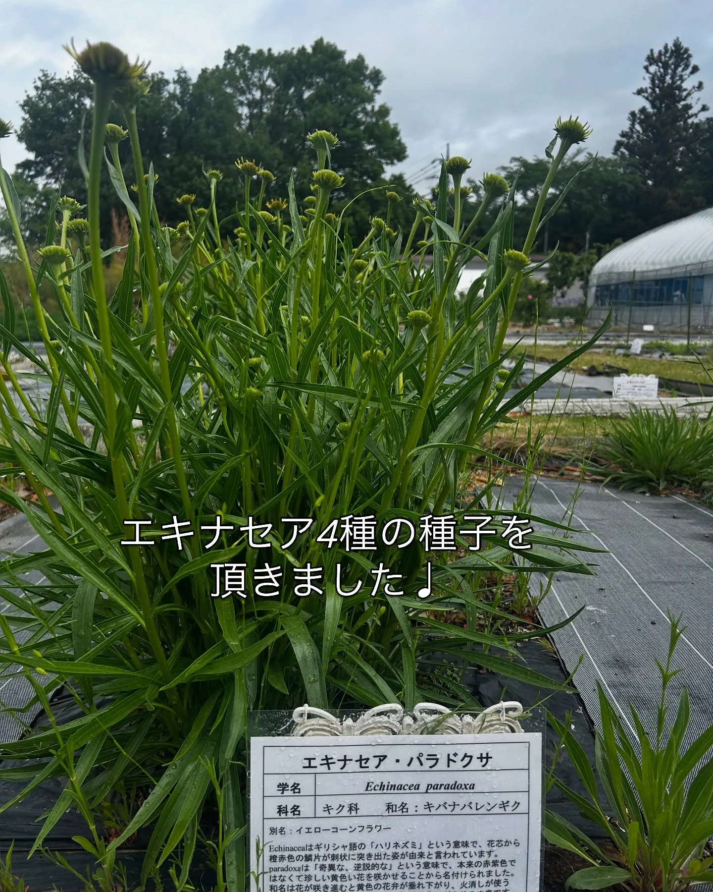 2025.NARD JAPAN農場研修