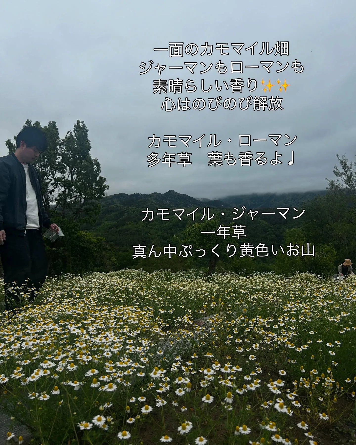 2025.NARD JAPAN農場研修