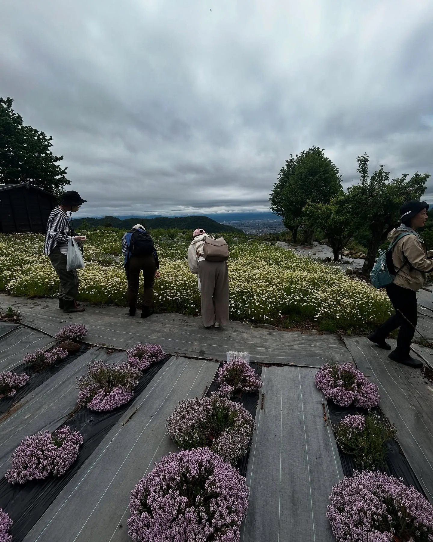 2025.NARD JAPAN農場研修