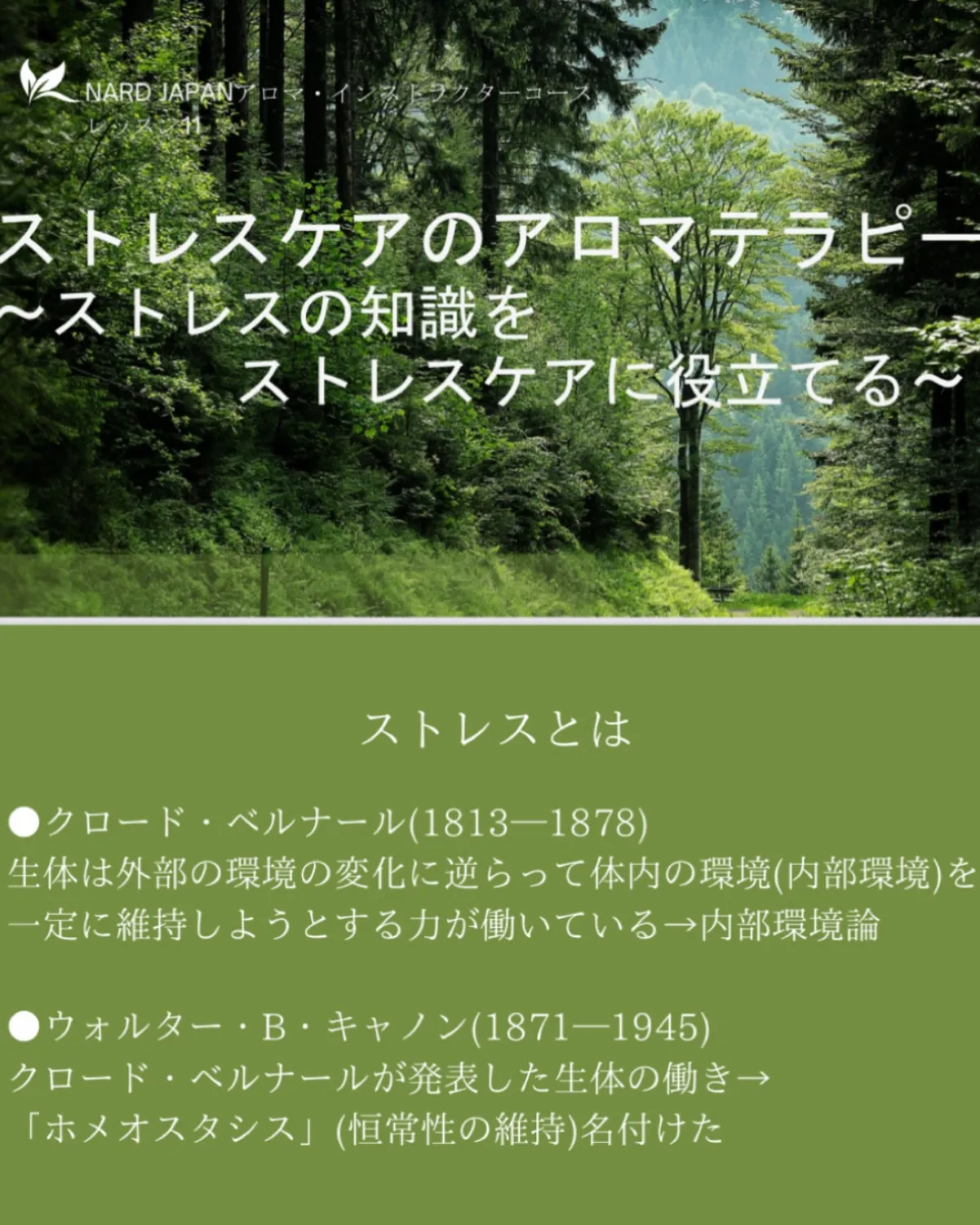 アロマ・インストラクターレッスン