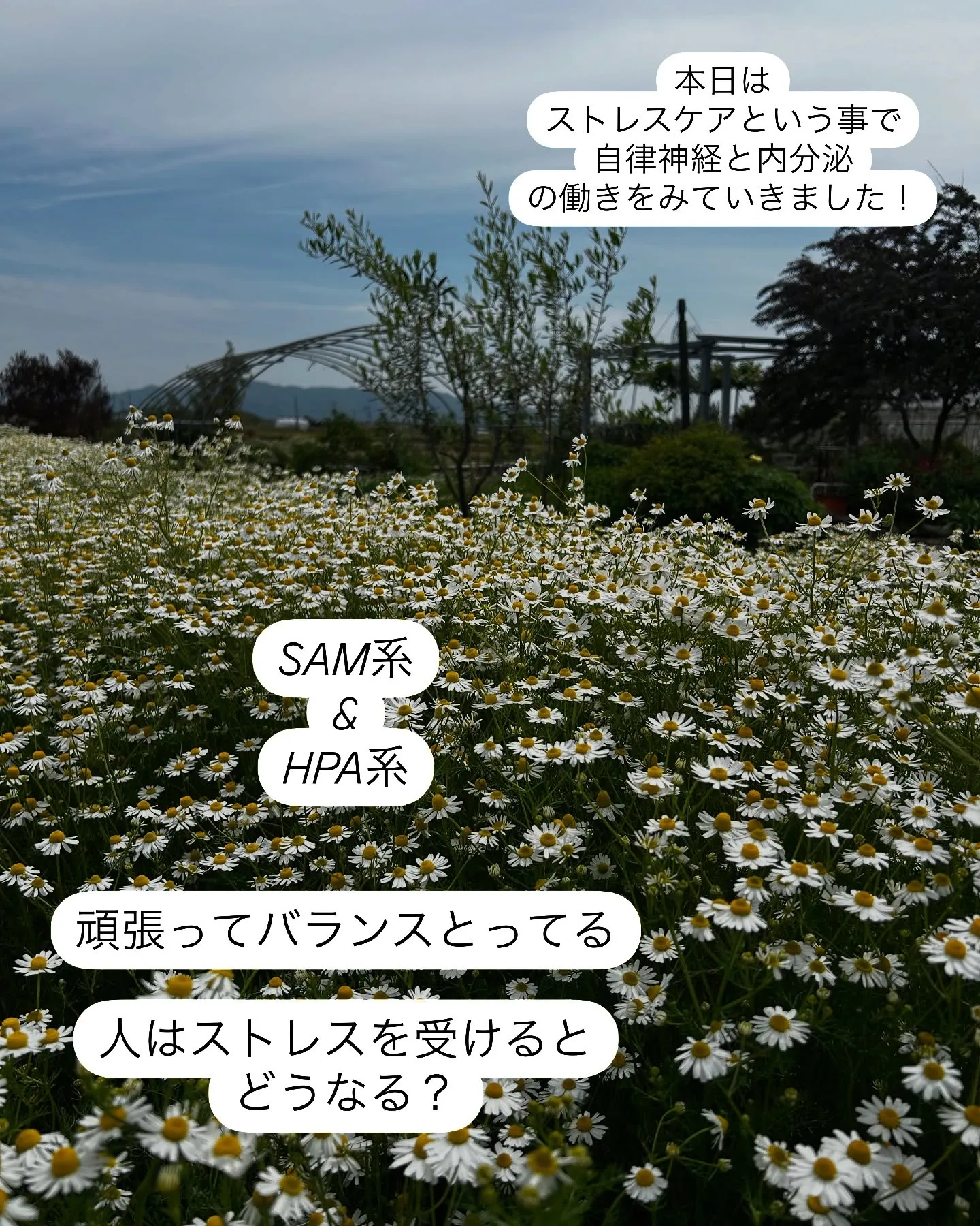 アロマ・インストラクターレッスン