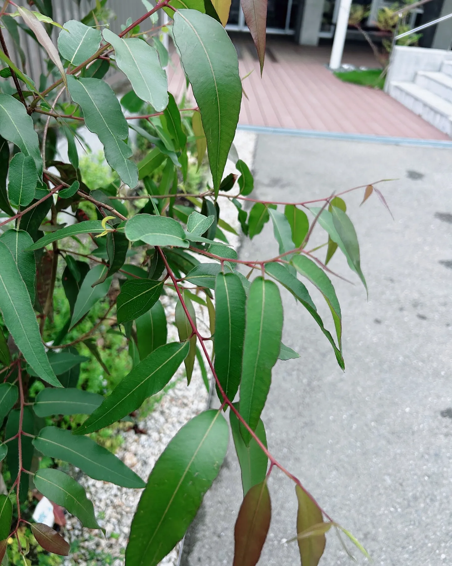 KACリンパドレナージュ卒後フォローコース