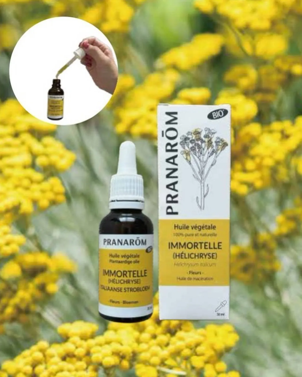 プラナロム社のヘリクリサムオイル