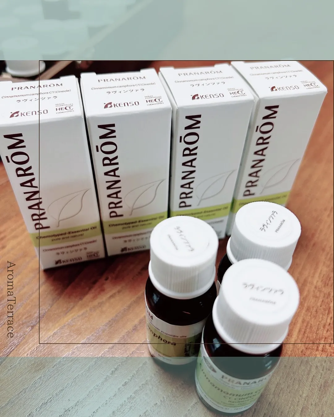 サロン𝗱𝗮𝘆