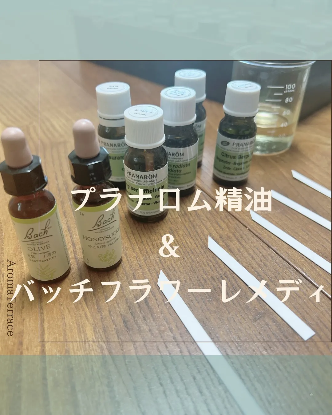 サロン𝗱𝗮𝘆