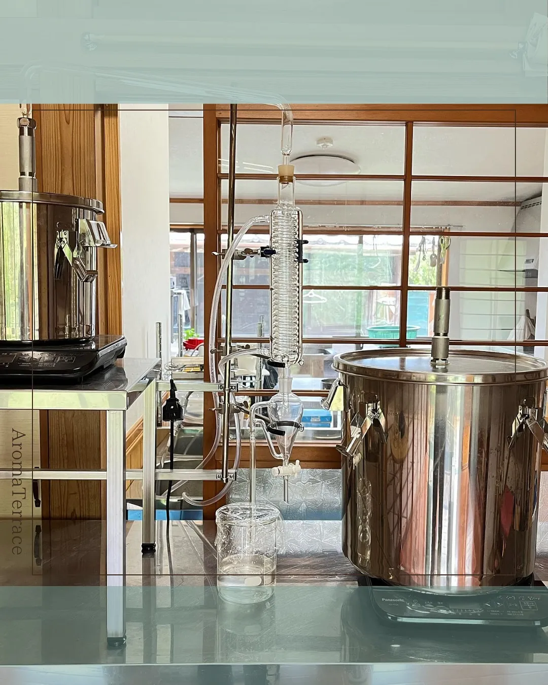 夏のイベントのご案内