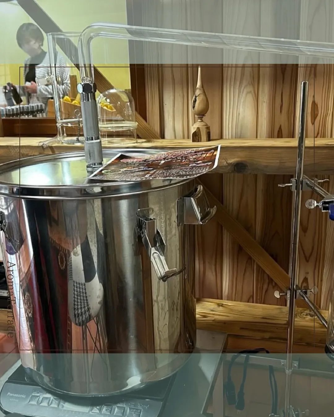 夏のイベントのご案内