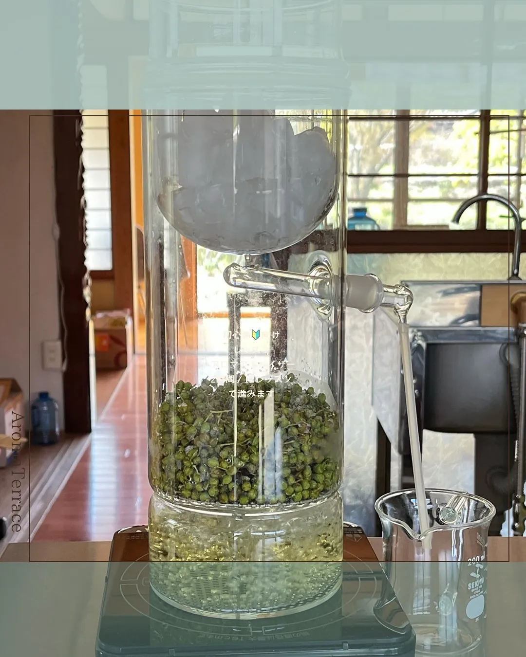 夏のイベントのご案内