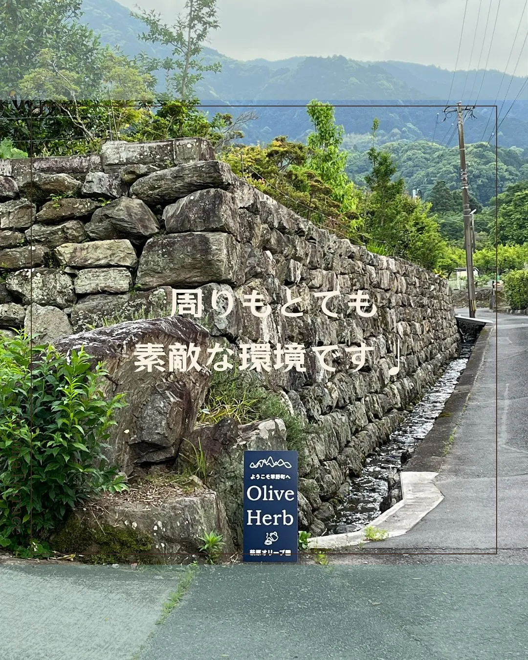 夏のイベントのご案内