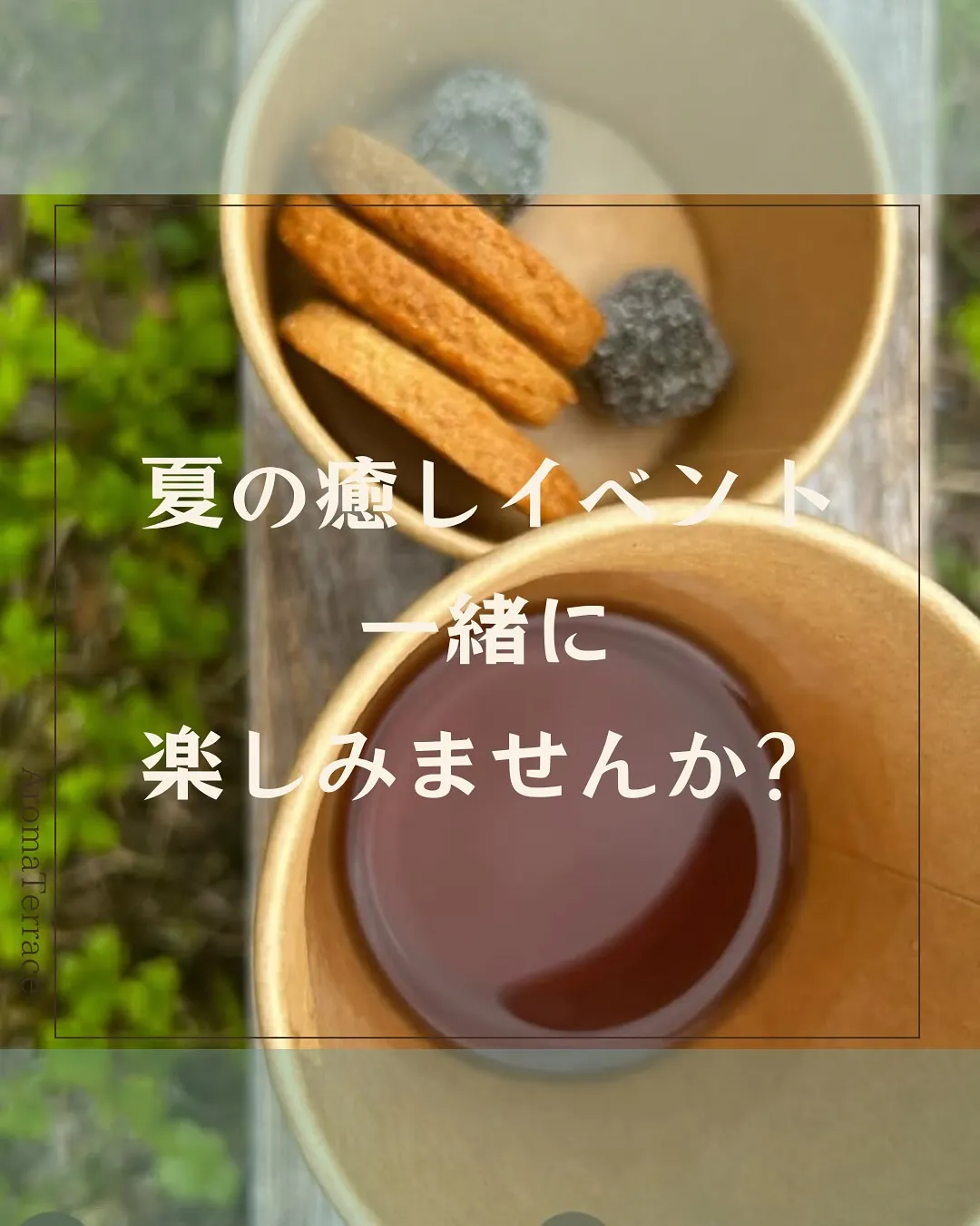 夏のイベントのご案内