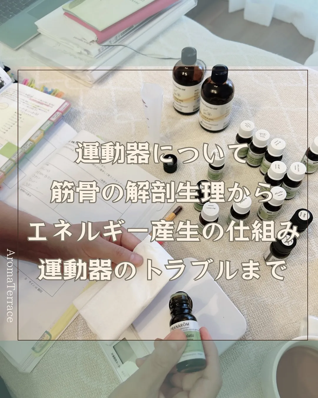 仕事が好き、学びが好き