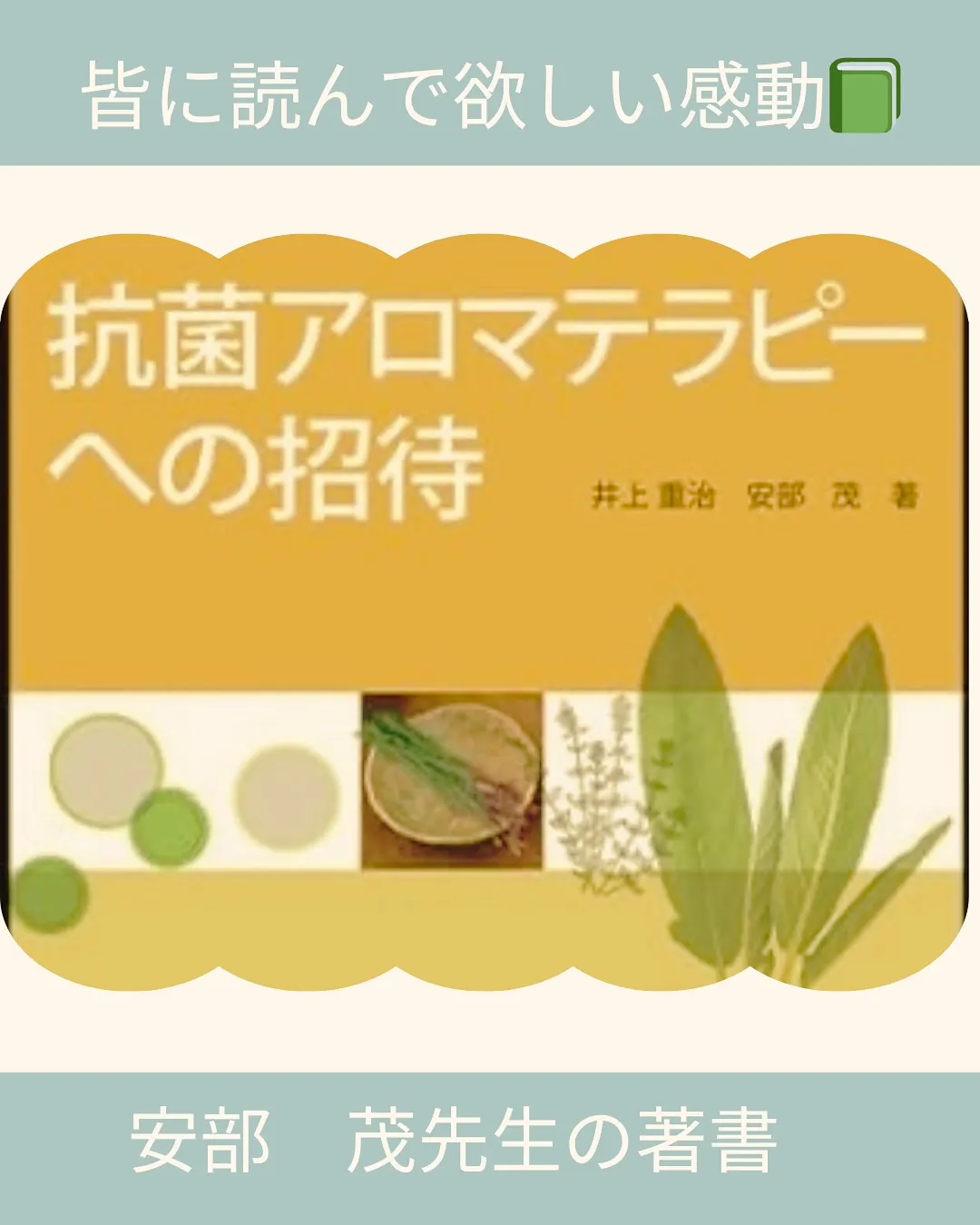 臨床・介護・ホームケアで活かす