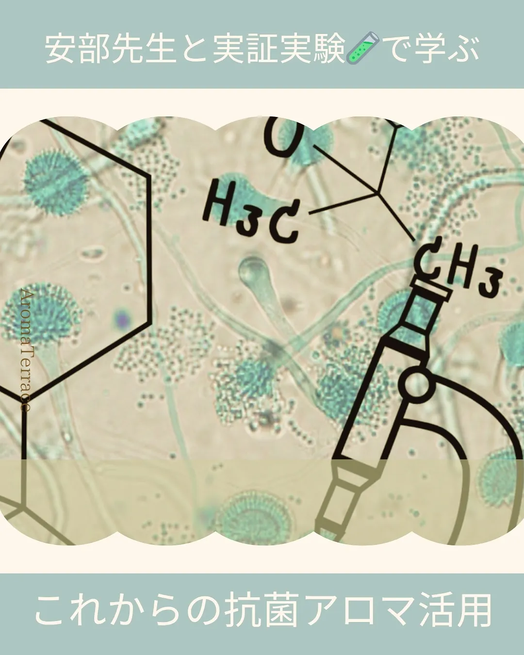臨床・介護・ホームケアで活かす