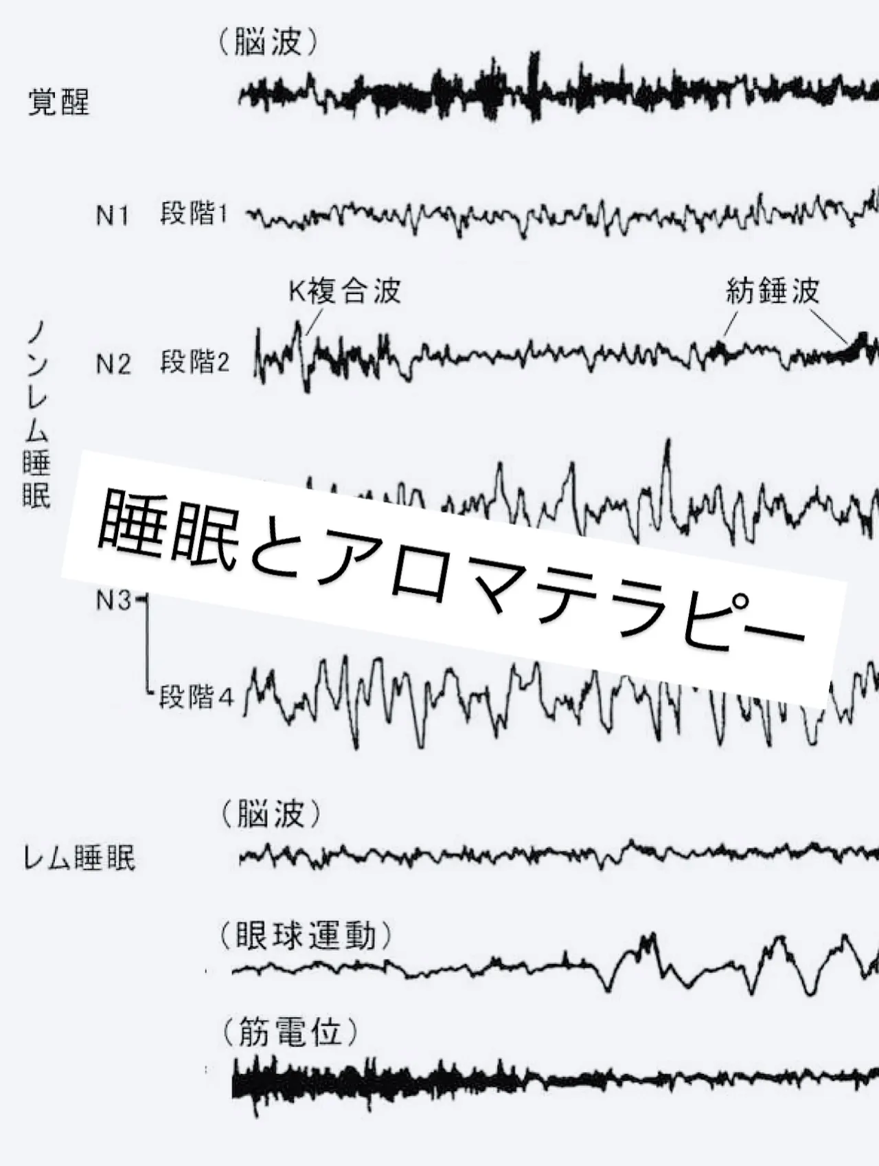 アロマ・アドバイザーレッスンで