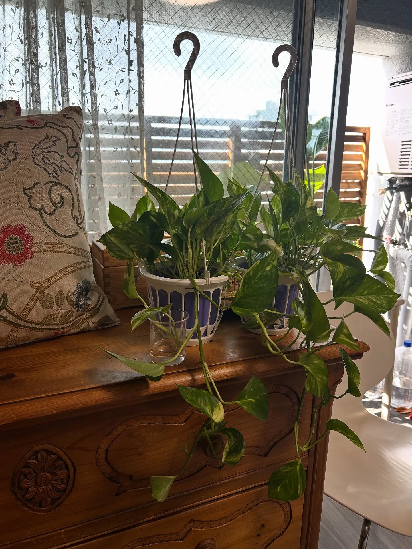 ———————————————————