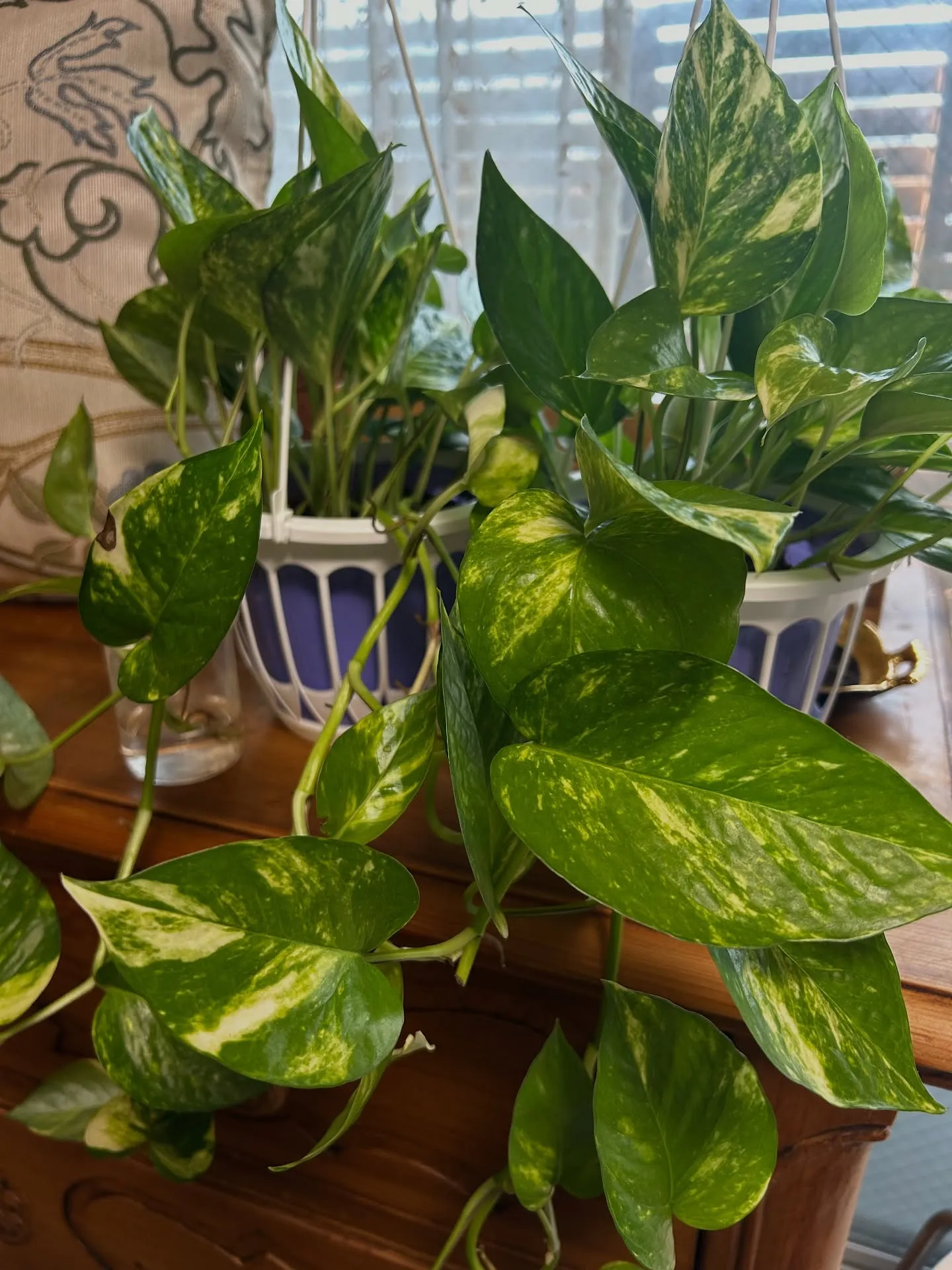 ———————————————————