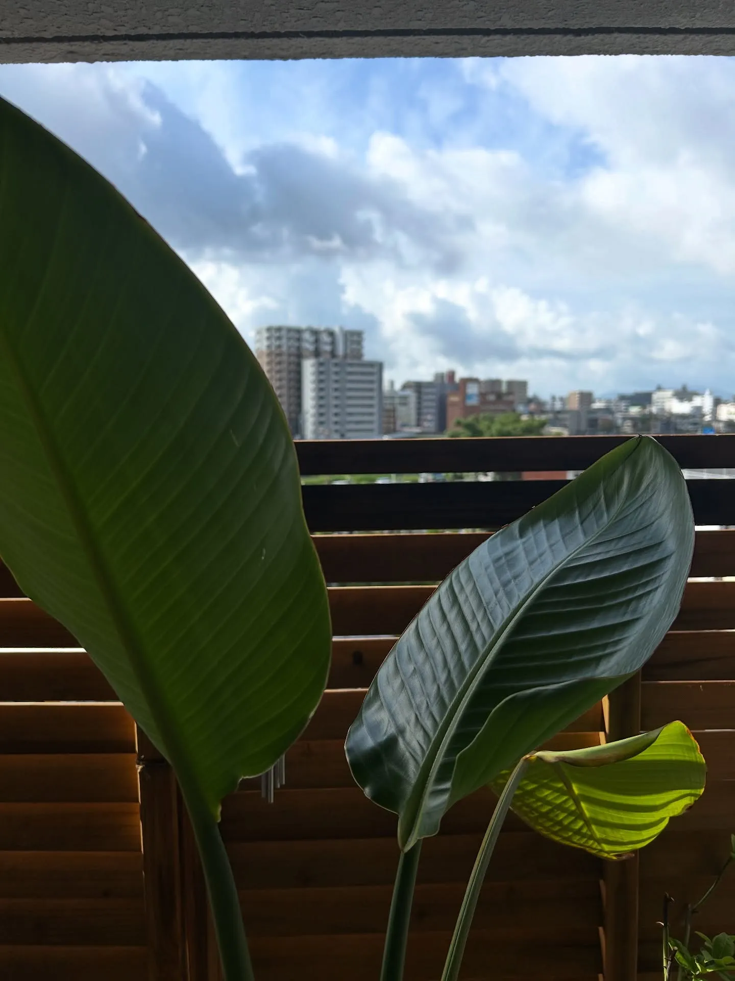 ———————————————————