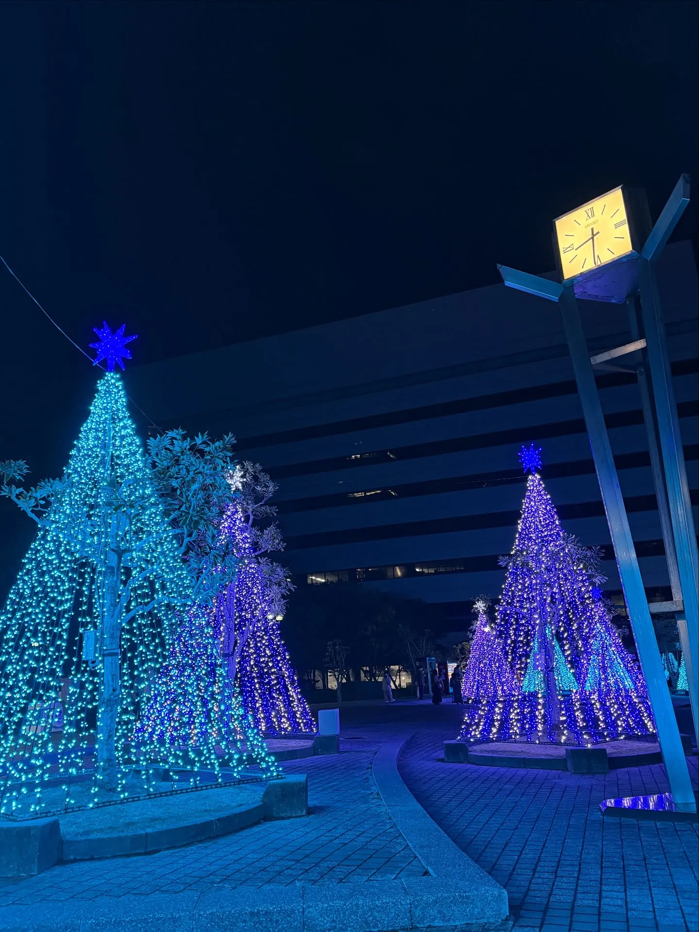 クリスマス🎄まで楽しもう！！！