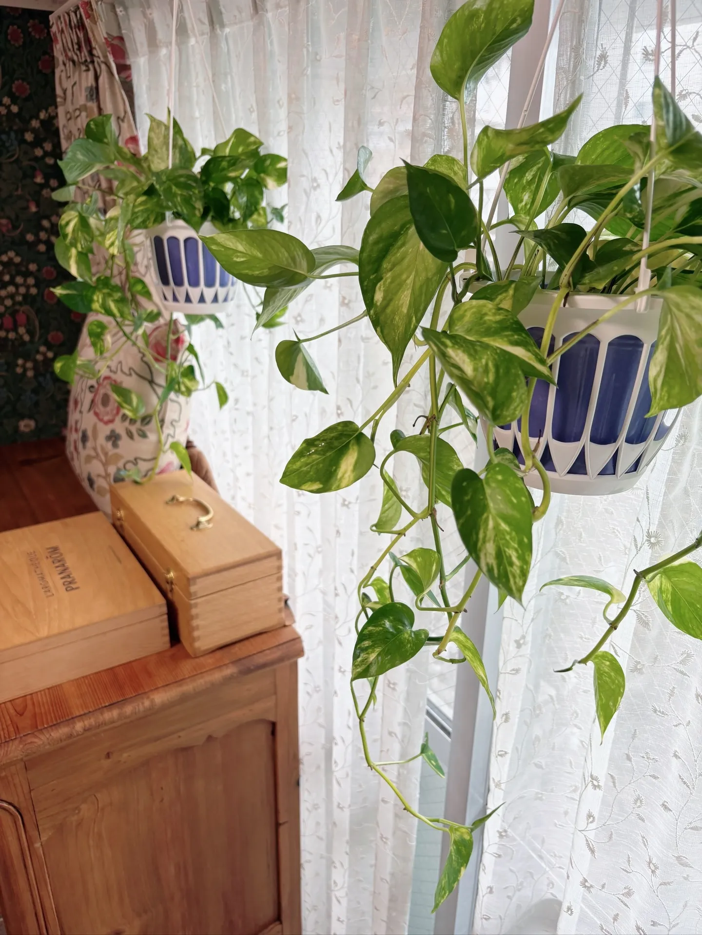 ナードアロマ・インストラクターコース