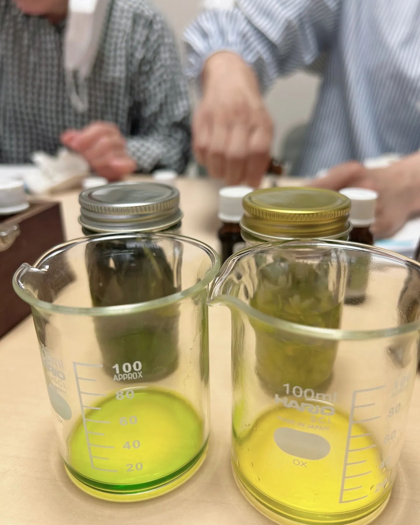 𝟮𝟬𝟮𝟱年秋🍂