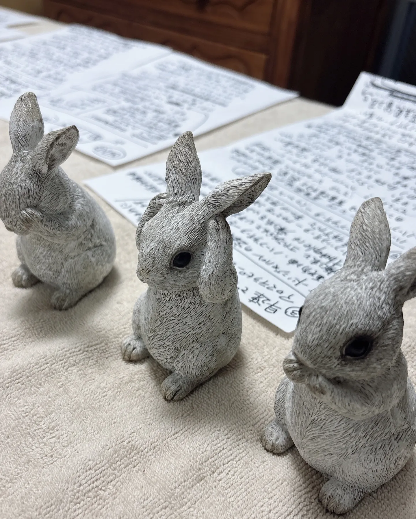 𝟮𝟬𝟮𝟱年秋🍂