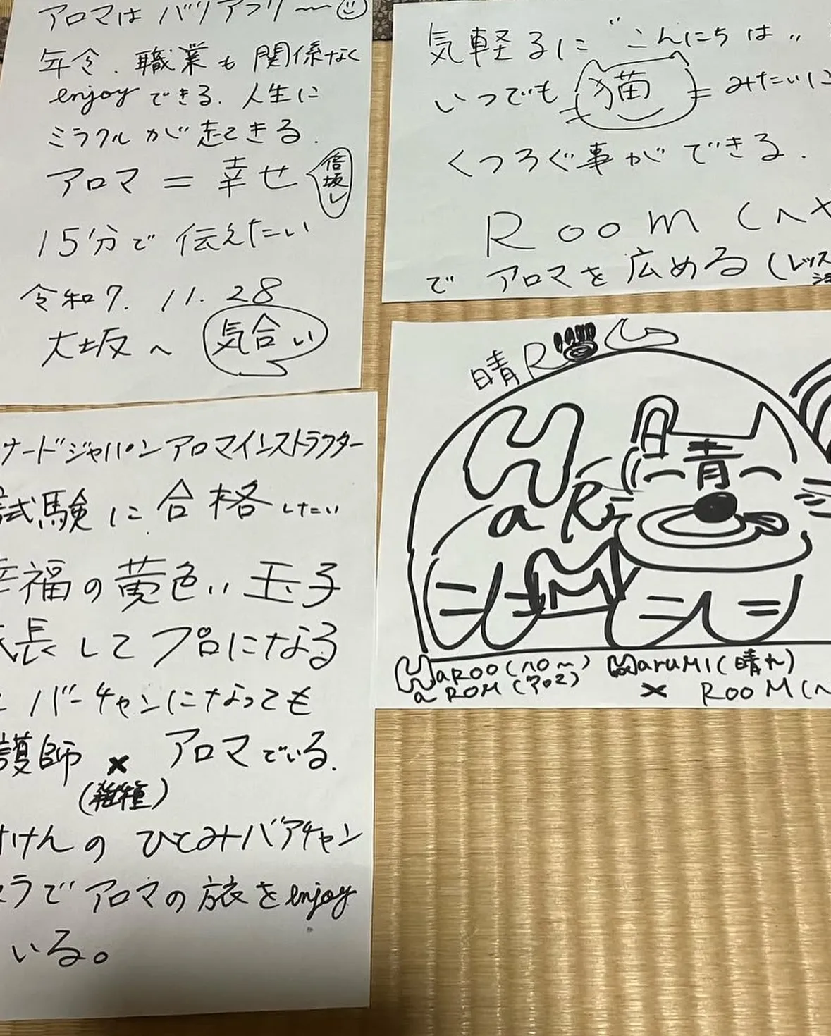 𝟮𝟬𝟮𝟱年秋🍂